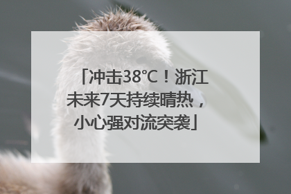 冲击38℃！浙江未来7天持续晴热，小心强对流突袭